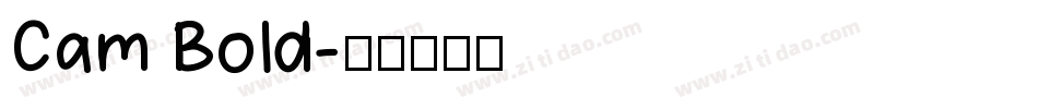 Cam Bold字体转换